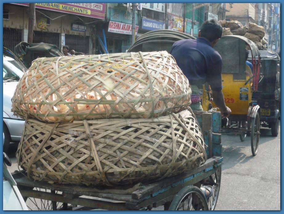 900x674 pixels (104K)